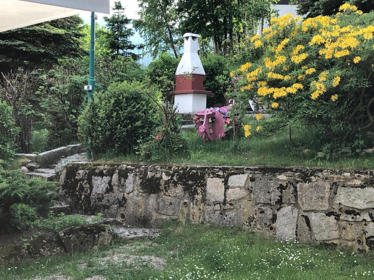 Azyl Karpacz - Kazdy Pokoj Z Wlasna Kuchnia I Lazienka Экстерьер фото
